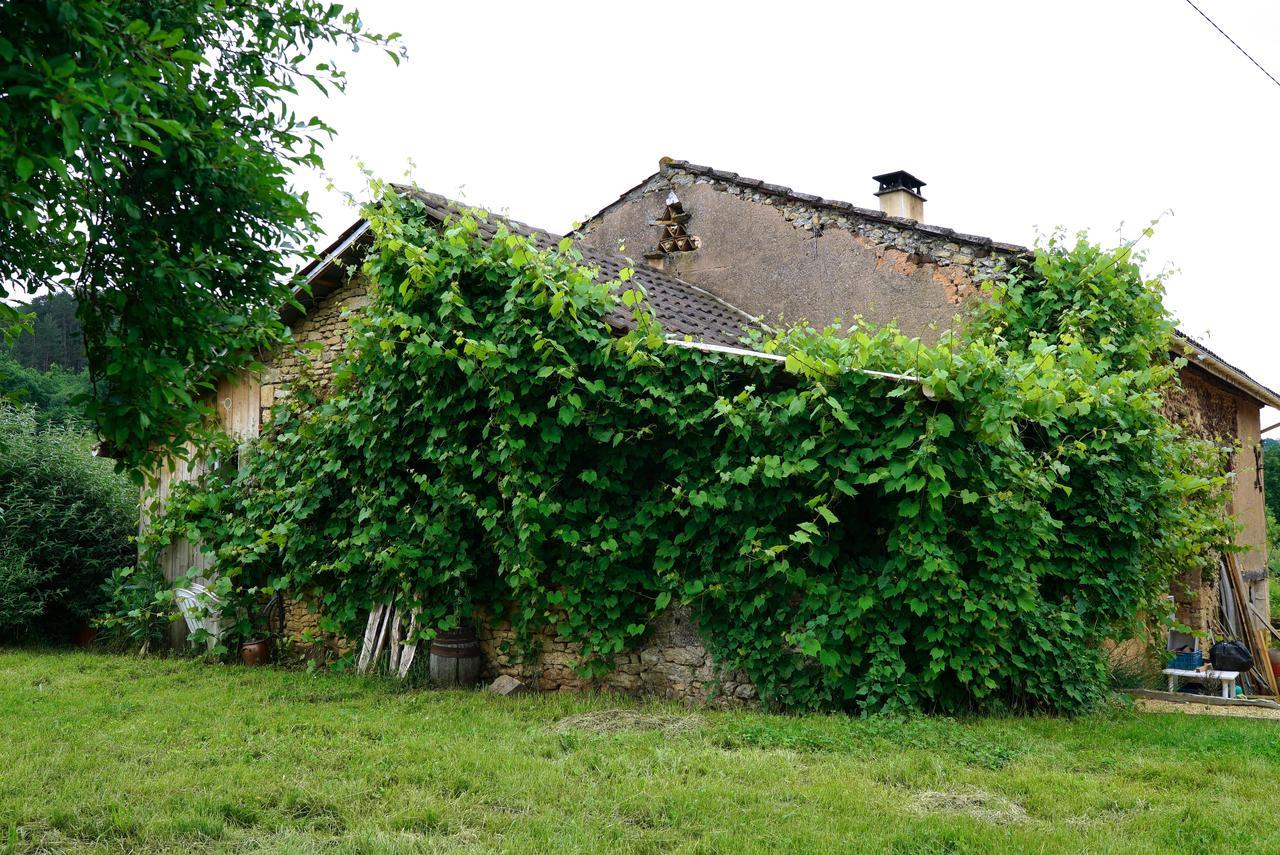 La Prairie Villa Siorac-en-Périgord Buitenkant foto
